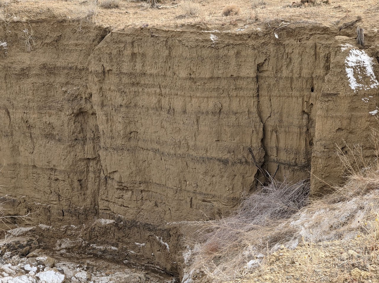Cebolleta Fire Station (Bilbo) Tower - Image 1