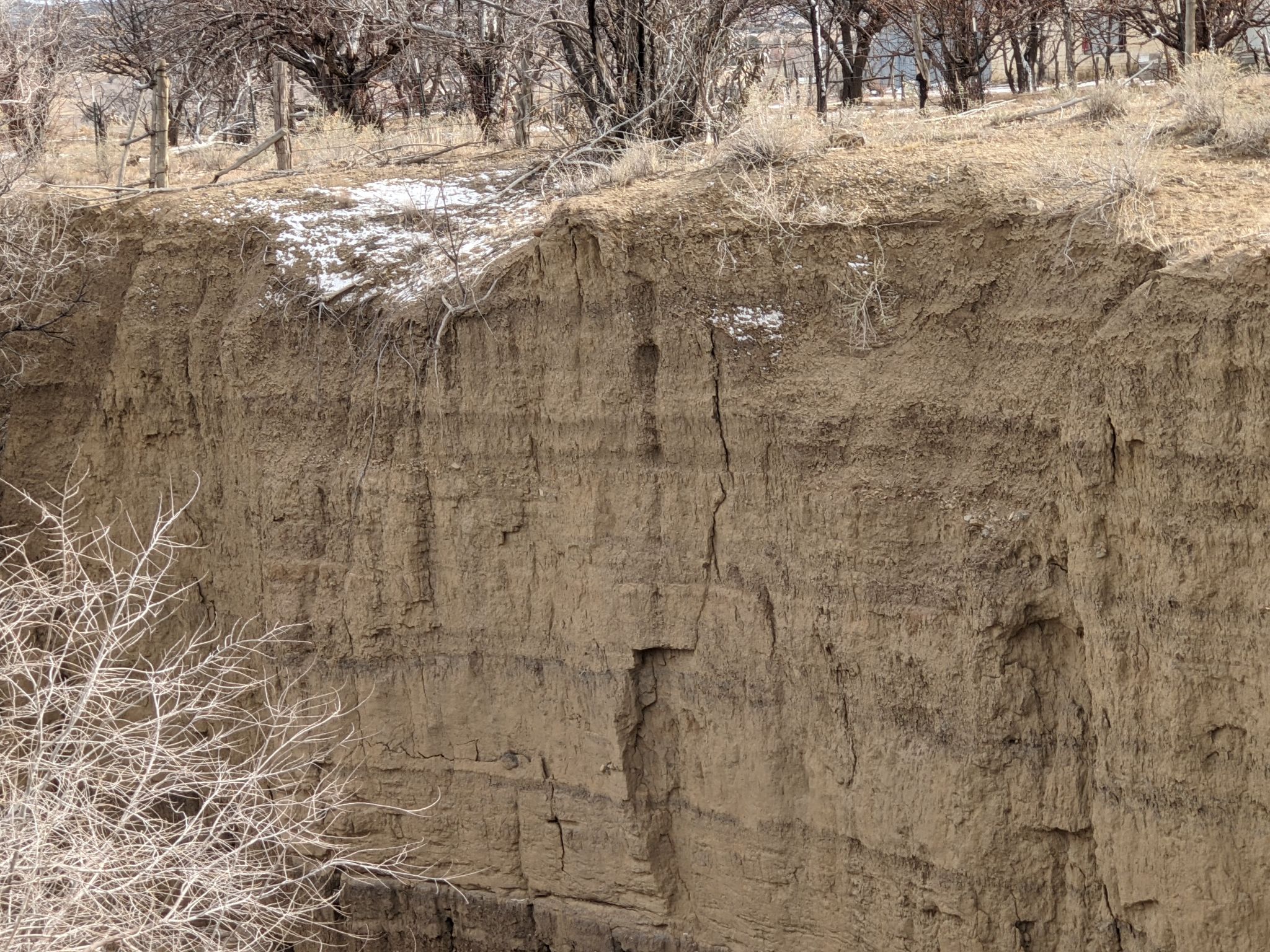 Cebolleta Fire Station (Bilbo) Tower - Image 4