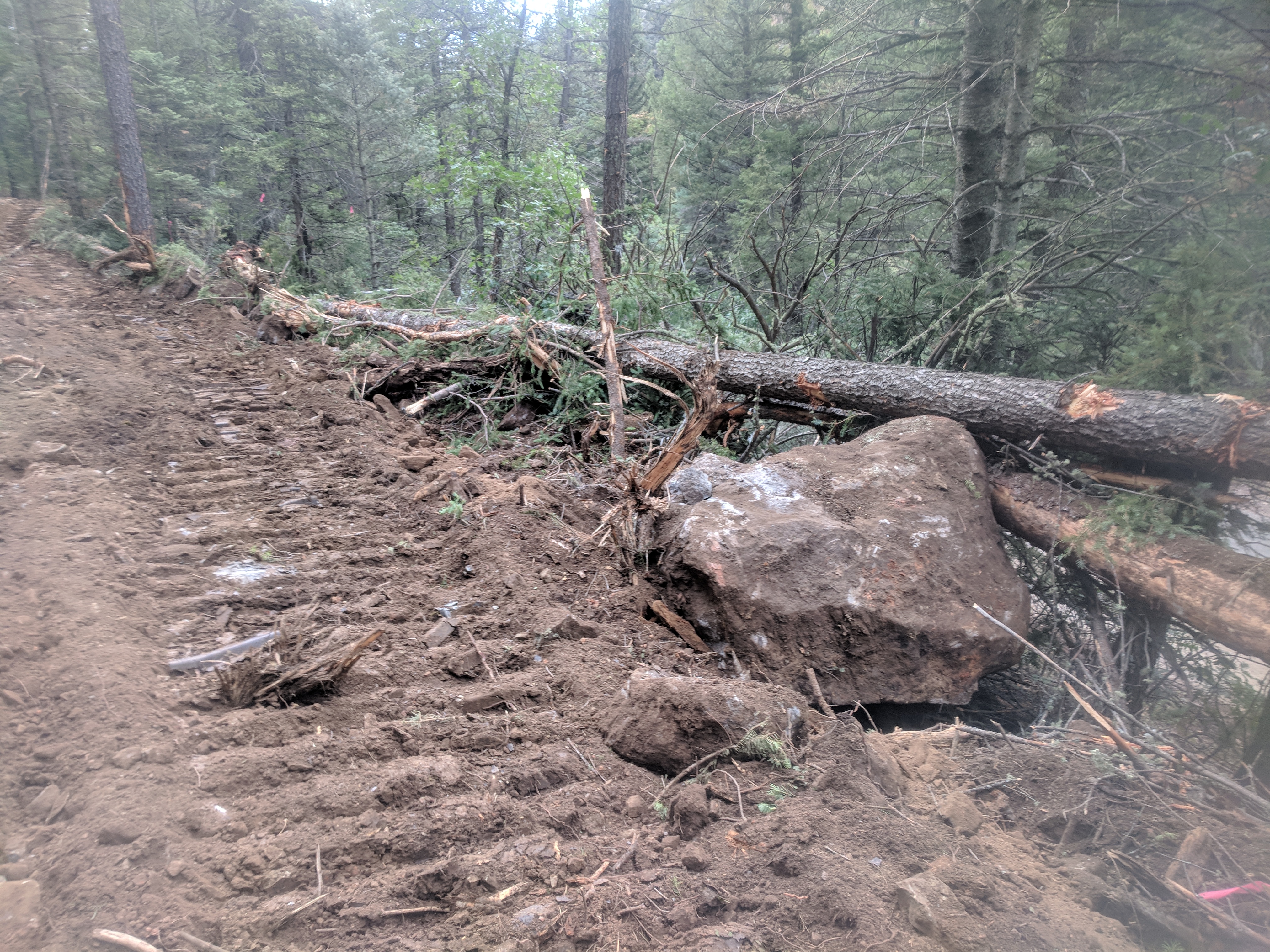 NM 434 Roadway - Image 1